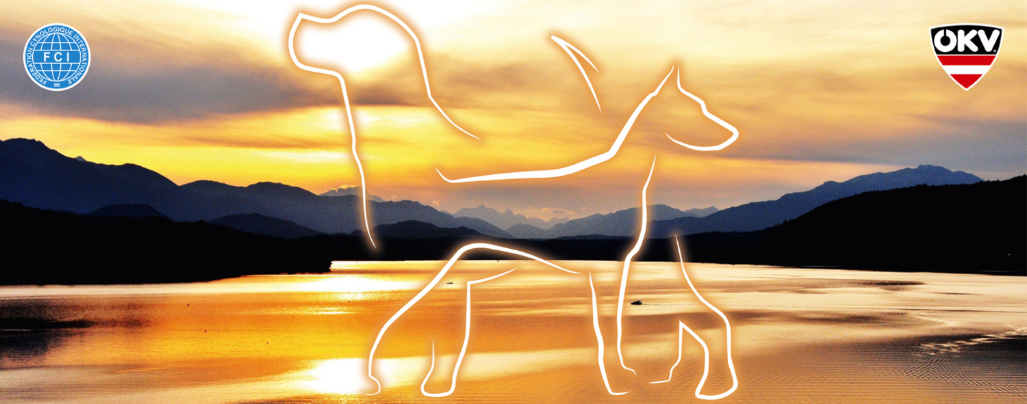 Int. Rassehunde-Ausstellung