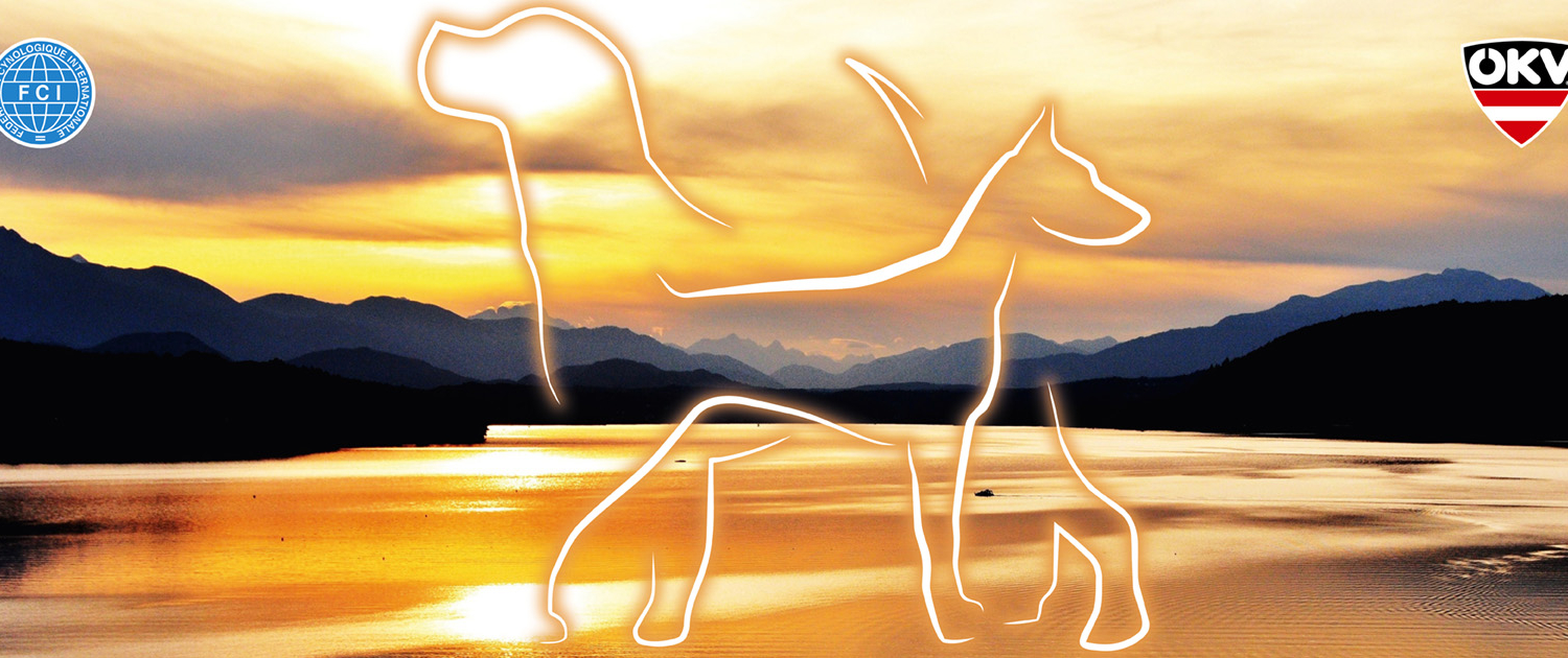 Int. Rassehunde-Ausstellung