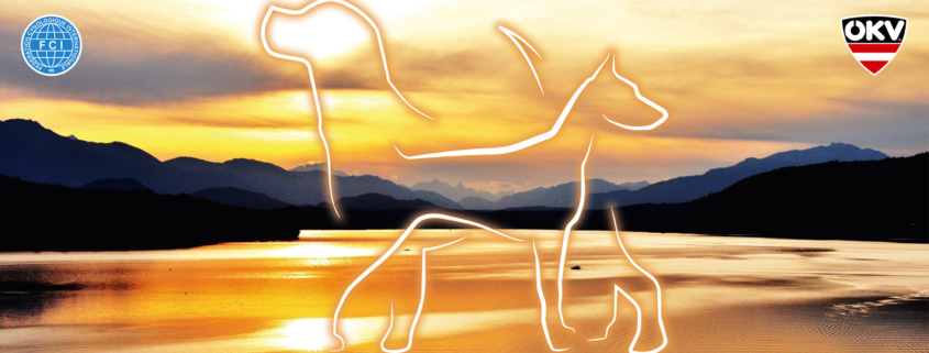 Int. Rassehunde-Ausstellung