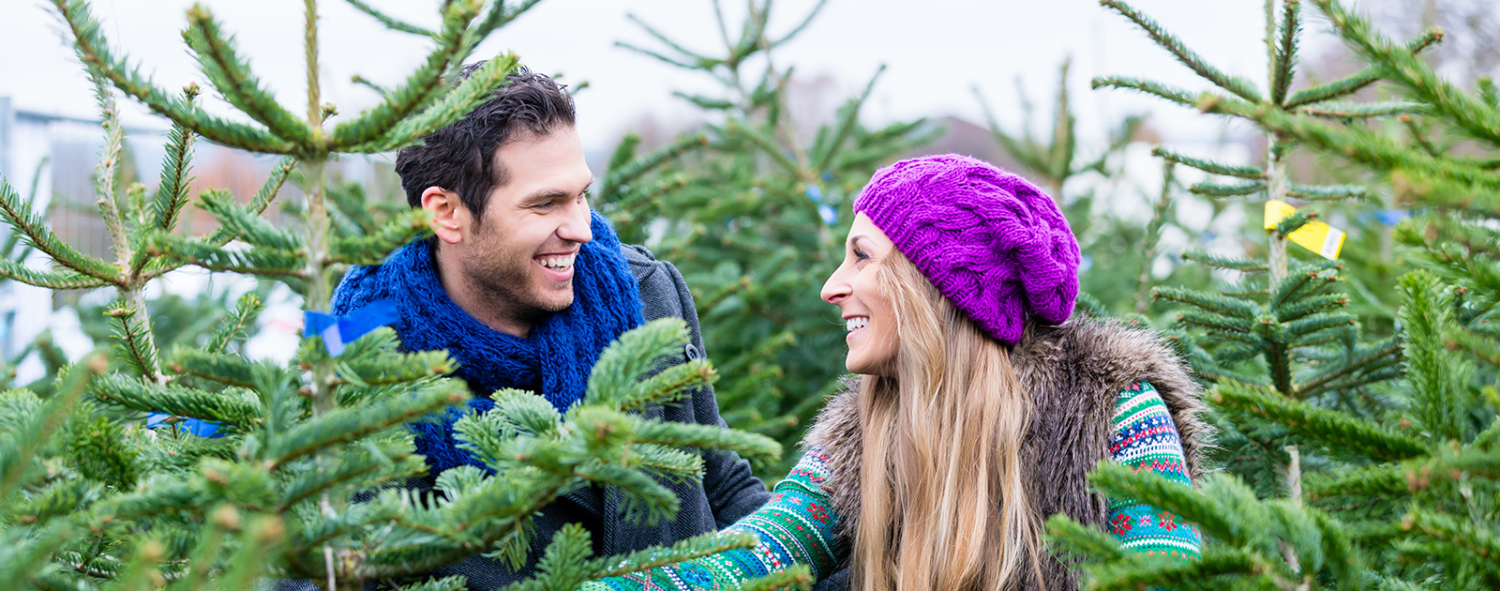 Christbaummarkt am Messegelände