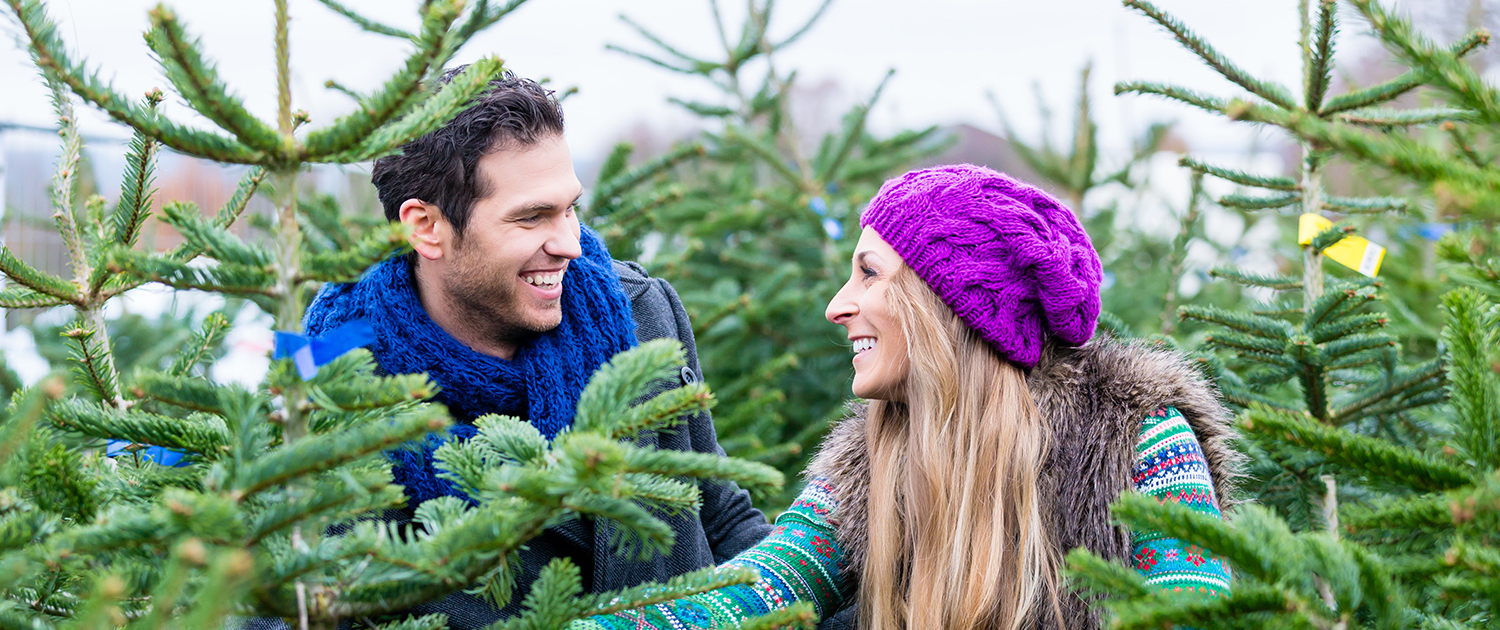 Christbaummarkt am Messegelände